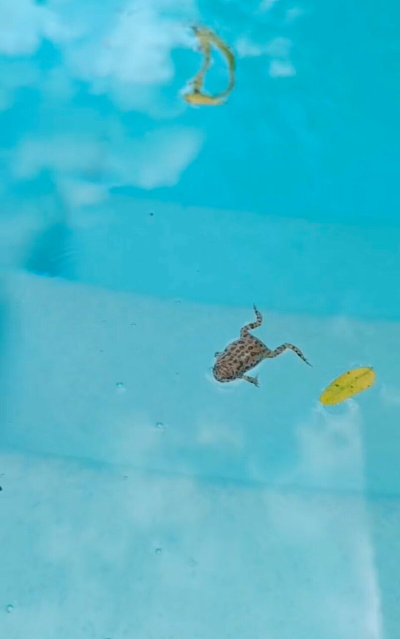 Гостиница Марко Поло Анапа-207