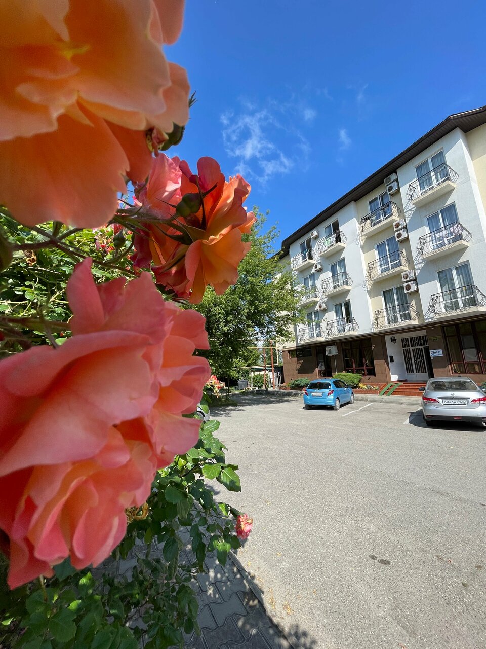 Гостиница Марко Поло Анапа-10